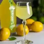 limoncello 2026 03 30 072657 1